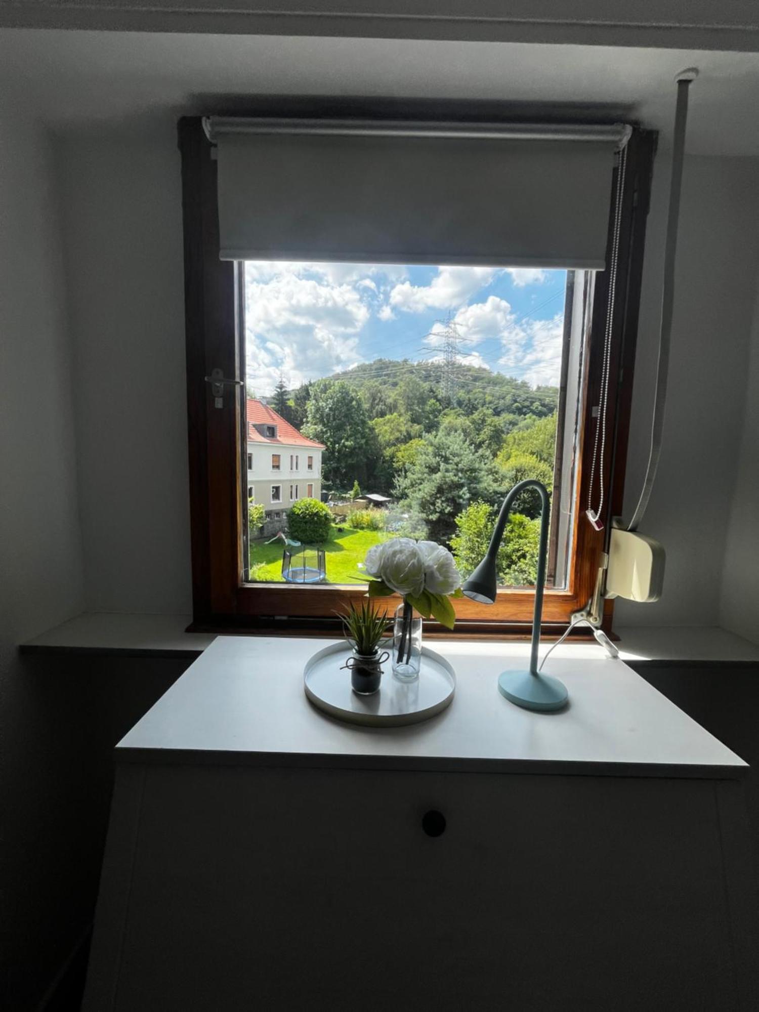 Апартаменти Idyllisch Wohnen An Der Ruhr Гаттінґен Екстер'єр фото